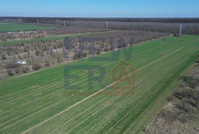 Teren de vanzare, Sabareni - 2