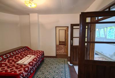 Casa individuala/sat Dobreni comuna Varasti - 18