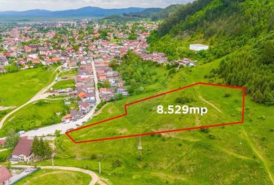 Teren Construcții intravilan de 8529 mp, în Bunloc - 3