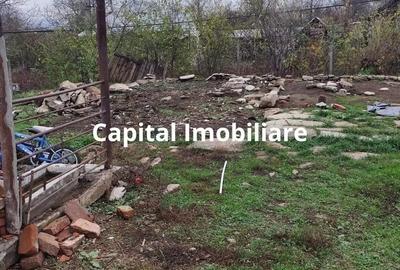 Baicoi Central 1613 mp Parc Petrom - 6