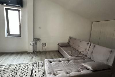 Casă cu 2 camere în Plopi - 7