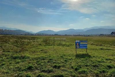 Teren de 10000 mp, în Tălmaciu