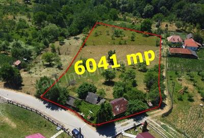 Teren de vanzare in comuna Cicane?ti, sat Bara?ti, jude? Arge?. - 2