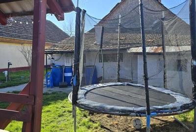 Casă cu 2 camere cu Teren 900 Mp în Covaci - 4
