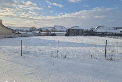 Teren de 1000 mp, în Șcheia - 1