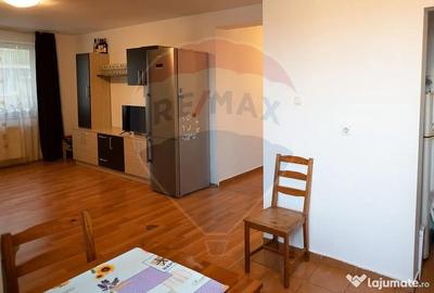 Apartament cu 2 camere decomandat în Nufărul - 14