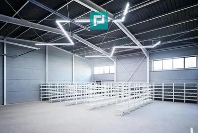 Hala industriala noua in Ghiroda - 10