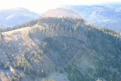 Teren de 31461 mp, în Panaci - 1