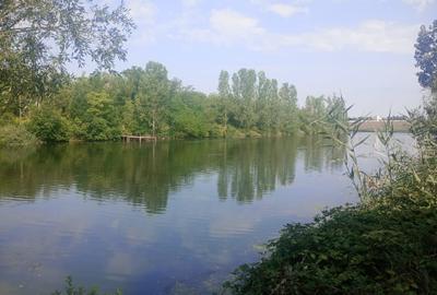 Teren superb  1100mp lac Găneasa - 6