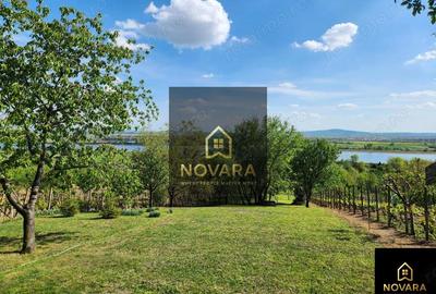 Teren de 2200 mp, în Podgoria - 3