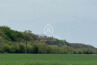 Vanzare teren 7.000 mp – Buftea, zona Tămași | lângă pădure - 2