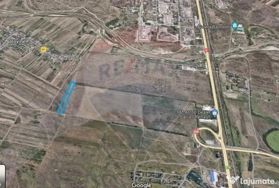 Teren de 5500 mp, în Cernele