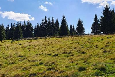 Teren Construcții de 10800 mp, în Beliș - 10