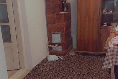 Casa singur curte, diverse activitati, locuit - 4