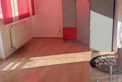 Garsonieră semidecomandată în Valea Ialomiței - 3