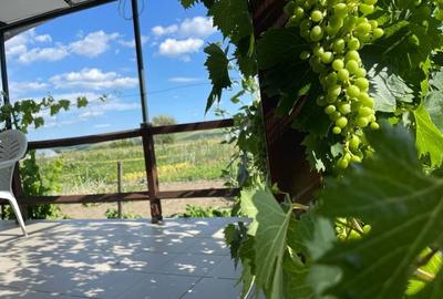 Casă cu 4 camere în Crăciunești - 7