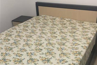 Apartament cu 2 camere nedecomandat, mobilat în Podu Roș - 5