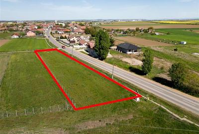 Teren intravilan de 1400 mp, în Girișu de Criș - 4