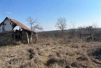 Casă cu 4 camere cu Teren 1631 Mp în Periferie - 4