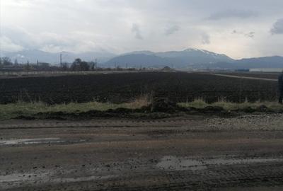 Teren Construcții intravilan de 11000 mp, în Stupini - 3