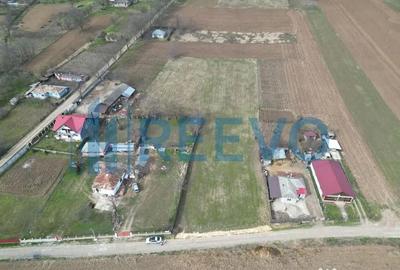 Teren de 4000 mp, în Bazga - 8