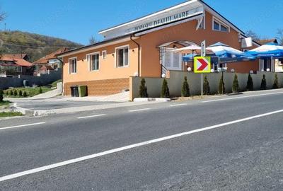 Vand pensiune in Dealu Mare (Comuna Valisoara), judetul Hunedoara, constructie din BCA din anul 2020 - 1
