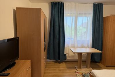 Garsonieră decomandată, mobilată în Trei Stejari - 3