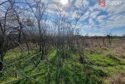 Teren de 2840 mp, în Jebel - 4