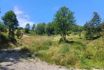 Teren de 4500 mp, în Brebu - 6