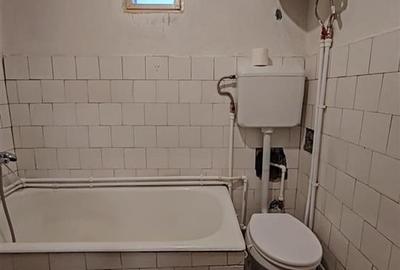 Casa , singur in curte la intrarea in ZIZIN - 10