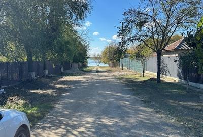 Dridu, judetul Ialomita - 1