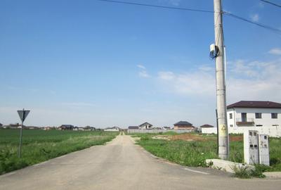 Domnesti-Simfoniei. - 2