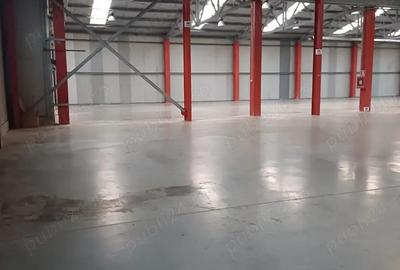 Hala industriala (4.125 mp) si spatiu administrativ (125 mp) - Str.Traian Vuia , Ghimbav