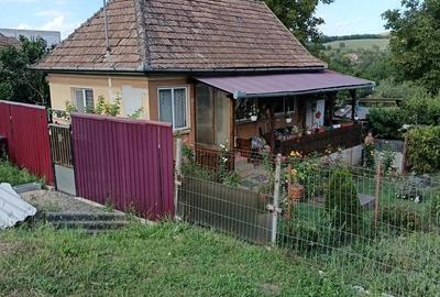 Casa de vanzare
