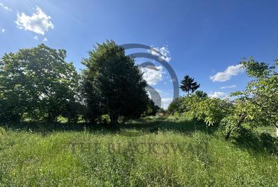 Teren Vanzare 11.000 MP Ghirdoveni | Comision 0% - 16