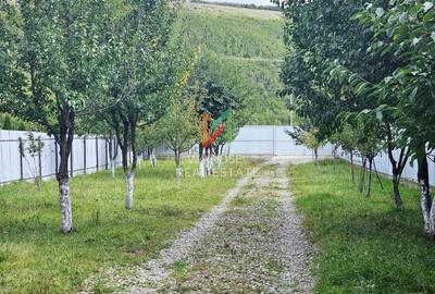 Teren 2000 | Casa | Foisor | Livada | Zizin | Brasov - 11