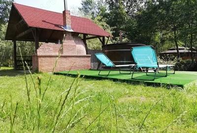 Casă cu Teren 4866 Mp în Central - 5