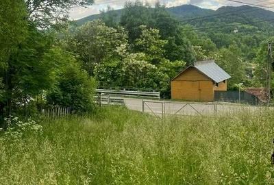 TEREN DE VANZARE VALEA DOFTANEI - 4