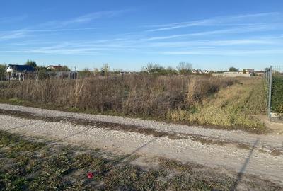 Domnesti, padurea Teghes - 9