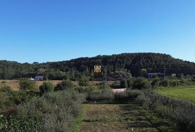 Teren 1594 mp intravilan - Suceava - Scheia! - 9