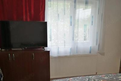 Casă cu 2 camere cu Teren 2984 Mp în Central - 9
