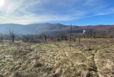 Teren în Balotești - 5