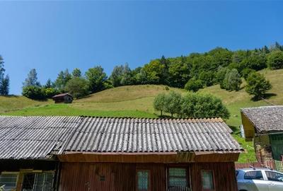 Oaza rustica: Case si teren generos de 9.400 mp in Dambovicioara, Arges Oaza rustica: Case si teren generos de 9.400 mp in Dambovicioara, Arges - 40