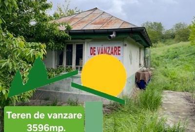 Casă cu 3 camere în Ion Neculce - 1