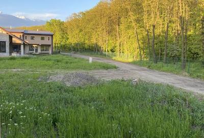 Casă cu 4 camere în Ghermănești - 4