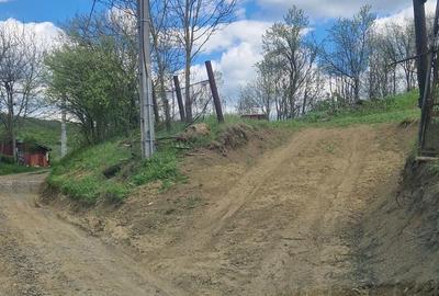 Teren de 1536 mp, în Ceuaș - 2