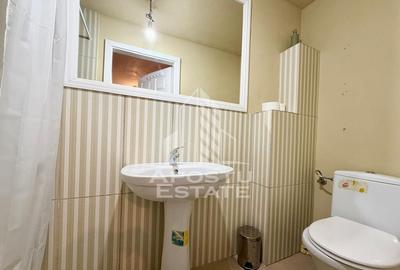 Jumatate de Duplex, 5 camere, 4 bai, PetFriendly, curte, ... - 12