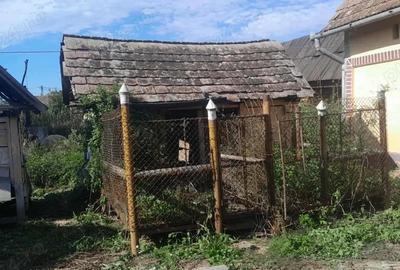 Casa de vanzare! Citeste descrierea! - 6