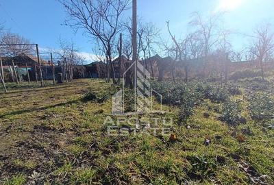 Casă cu 5 camere cu Teren 2158 Mp în Freidorf - 7