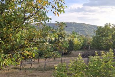 Teren spectaculos cu padure, livada si priveliste panoramica in Soimari PH - 10